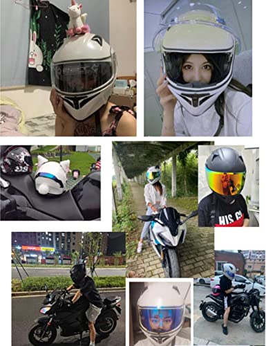 ABDOMINAL WHEEL Casco De Moto Modular Bluetooth Integrado,Cascos Modulares De Motocicleta ECE Homologado con Doble Visera,Cascos De Motocicleta para Adultos, Mujeres Y Hombres D,XXL=61~62cm