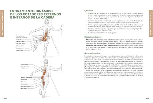 Anatomía de los estiramientos: Guía ilustrada para mejorar la flexibilidad y la fuerza muscular