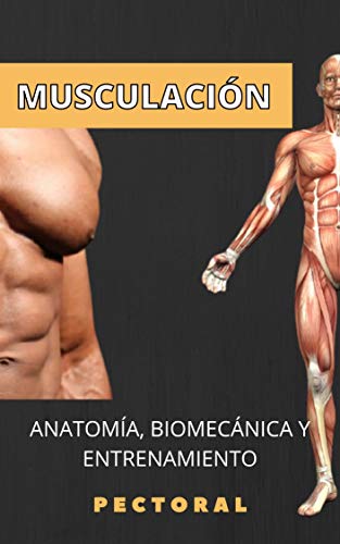 Anatomía y musculación. Pectoral: Conocimientos para un cuerpo superior. (Anatomía y entrenamiento nº 1)