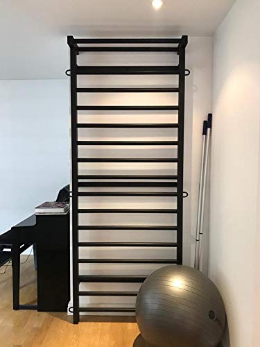 ARTIMEX espaldera de Acero (Escalera Sueca) para Gimnasia - utilizadas en hogares, gimnasios o al Aire Libre, código 221-Metall