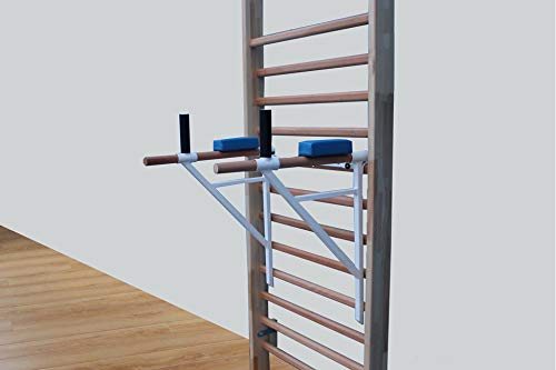ARTIMEX espaldera y Barra para Triceps para Gimnasia y Fitness - Utilizado en hogares, gimnasios y centros de Fitness, código 270-1