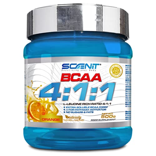 BCAA 4:1:1 | 500 g | Aminoácidos ramificados en polvo con sabor | BCAA en polvo con sabor | Leucina, isoleucina y valina 4:1:1 | Aminoácidos BCAA 4:1:1 en polvo con sabor (Naranja)
