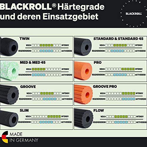 BLACK ROLL Blackroll Foam Roller Pro Hard Gris
