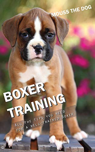 BOXER TRAINING: All the tips you need for a well-trained Boxer (English Edition)