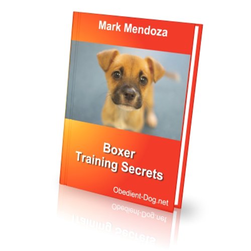 Boxer Training Secrets (English Edition)