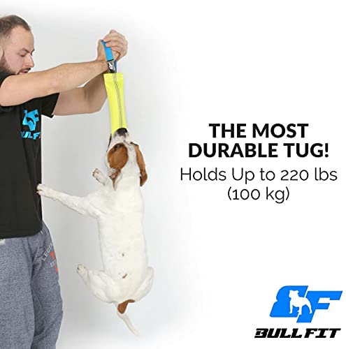Bull Fit mordedor perro, 25 cm - Embutido de manguera, K9 dummy y motivador canino resistente y duradero - juguetes para perros de entrenamiento