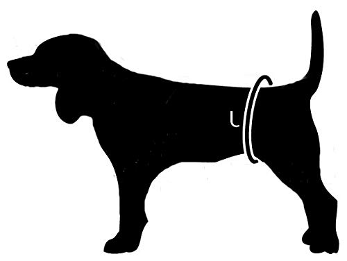 cat-or-dog.boutique - Braga higiénica de protección Lavable para Perros, Gatos, Cachorros