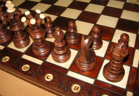 Chessebook Juego de ajedrez de Madera 52 x 52 cm
