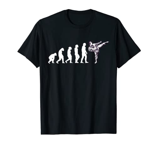 Cool Evolution Taekwondo Karate Aikido Jutsu Judo Kung Fu Camiseta