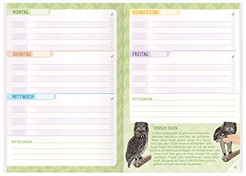 Cuaderno de deberes para la escuela primaria A5 sin fijación de fecha para niñas [caballo] cuaderno de tareas + pegatinas, consejos de aprendizaje