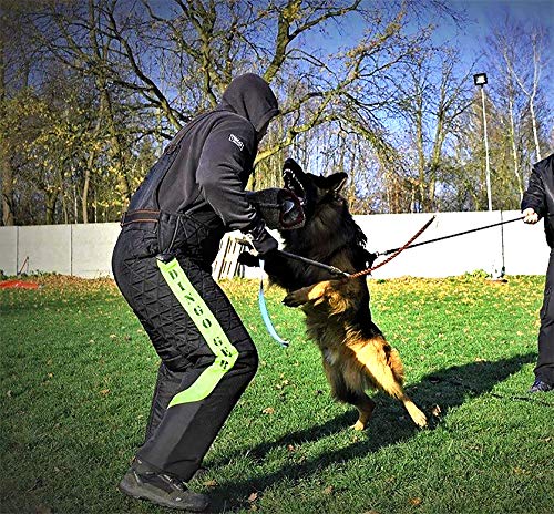 DINGO GEAR - Traje de Entrenamiento para Perros para señuelo de agitación IGP Sports