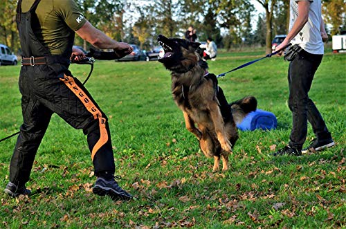 DINGO GEAR - Traje de Entrenamiento para Perros para señuelo de agitación IGP Sports