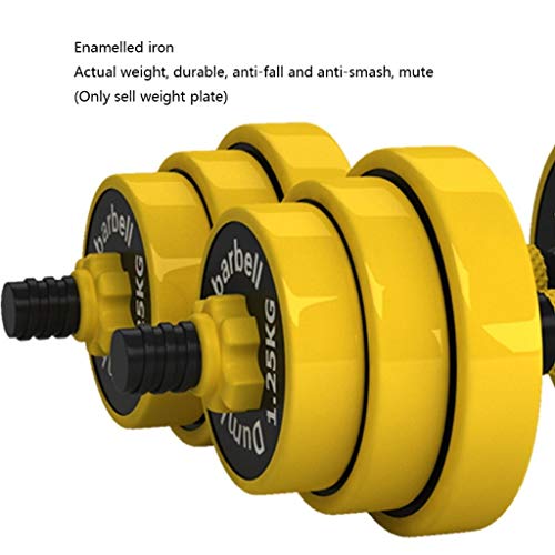 Discos de pesas Las placas Olímpicos Placas fraccional de peso for el entrenamiento de fuerza con mancuernas aparatos de ejercicios con barra amarilla micro placas Peso 1kg-2.75kg ( Size : 2.5kg )