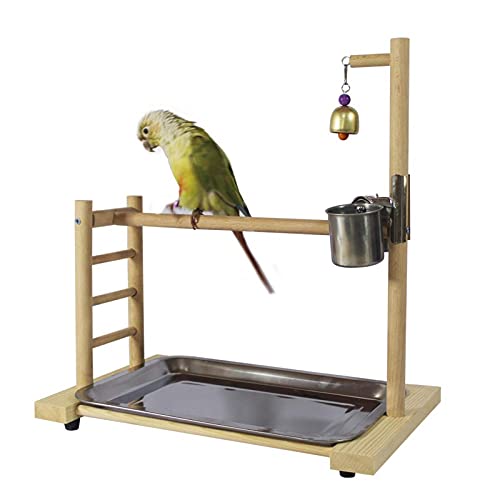 DJDEFK Juguetes para Pájaro Birdcage Stands Parrot Play Gym Madera Conure Playground Pájaro Jaula Soportes Soportes Accesorios Birdhouse Decor Tab Top Top