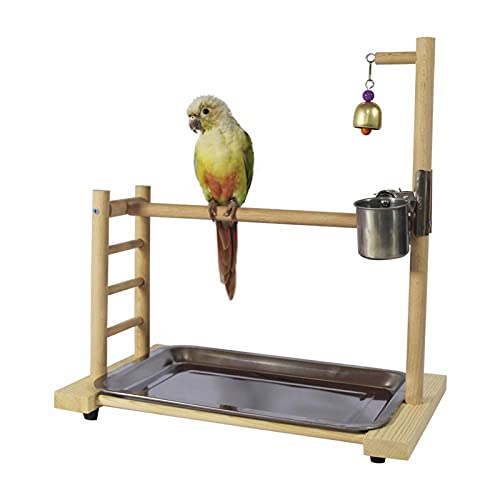 DJDEFK Juguetes para Pájaro Birdcage Stands Parrot Play Gym Madera Conure Playground Pájaro Jaula Soportes Soportes Accesorios Birdhouse Decor Tab Top Top