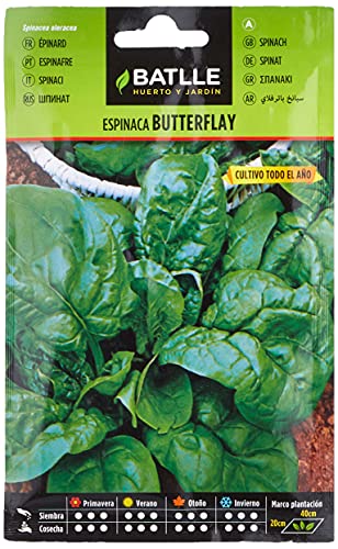 Espinaca BUTTERFLAY