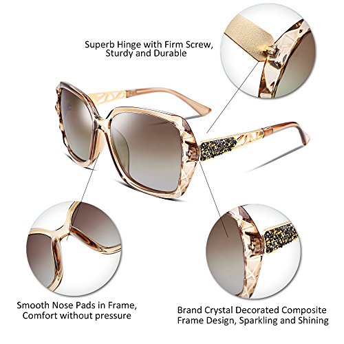 FEISEDY Gafas de Sol Polarizadas Mujer Protección UV400 Clásico Marco de Composite Grandes Gafas de sol para Señoras B2289