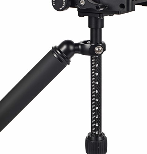 Firmcam FC005 Gecko - Soporte oscilante y estabilizador para cámara, cámara réflex Digital y cámara de vídeo