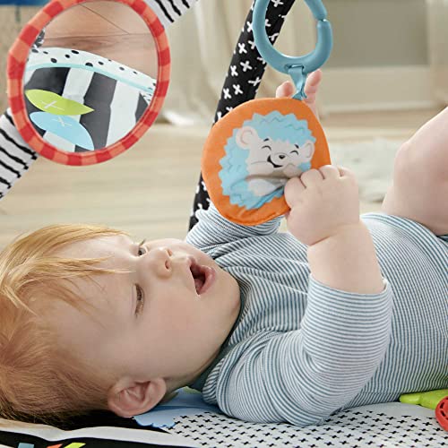 Fisher-Price Gimnasio de Actividades Musicales 3 en 1, estampado animalitos divertidos, manta para bebé recién nacido con accesorios (Mattel HBP41)