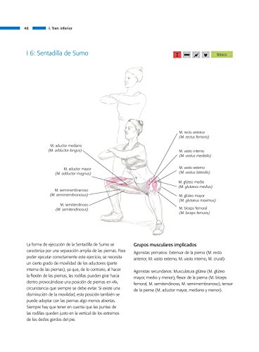 Guía Ilustrada De Musculación Sin Aparatos