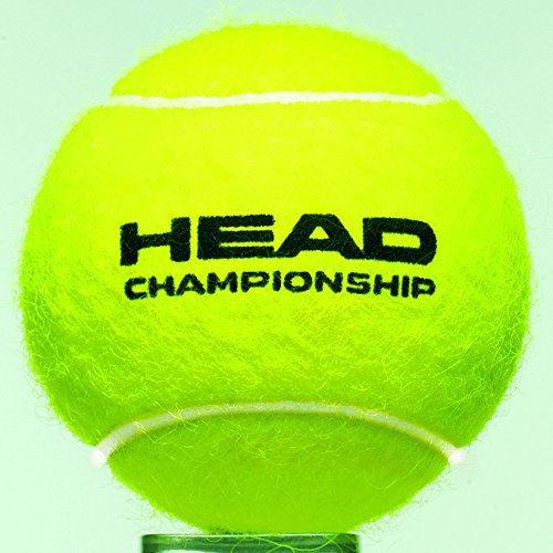 Head Championship Tenis despresurizada, Unisex, Multicolor, Talla única, 4 bolas