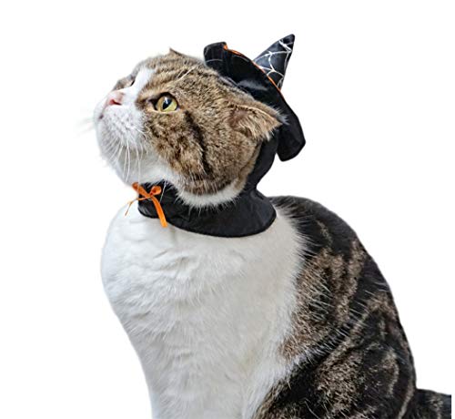 Hillento Linda Bruja de Capa con Capucha, Disfraz de Brujo de Halloween para Perros pequeños y Gatito Gato, Disfraz de Gato