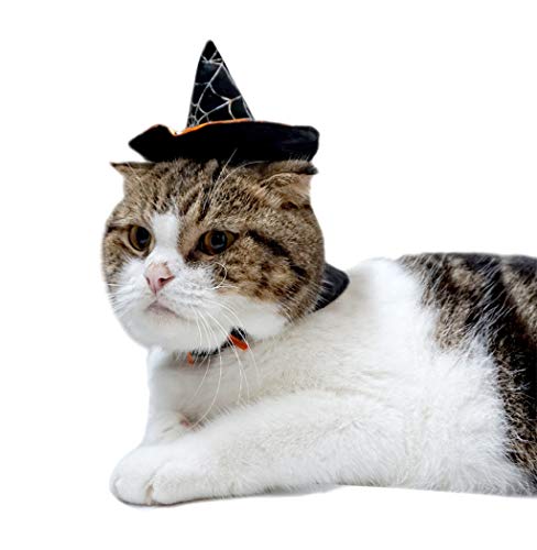Hillento Linda Bruja de Capa con Capucha, Disfraz de Brujo de Halloween para Perros pequeños y Gatito Gato, Disfraz de Gato