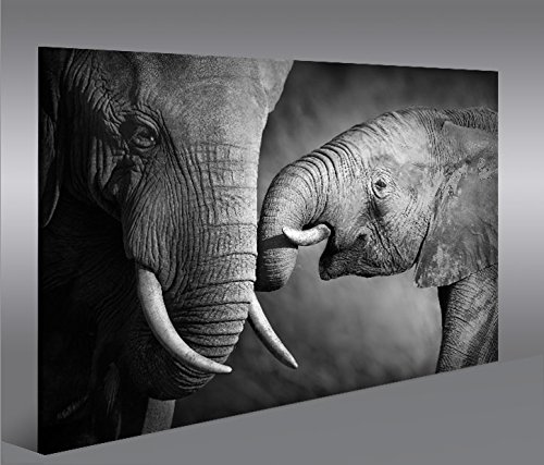islandburner Islandburner - Imagen sobre lienzo (tamaño XXL), diseño de elefantes