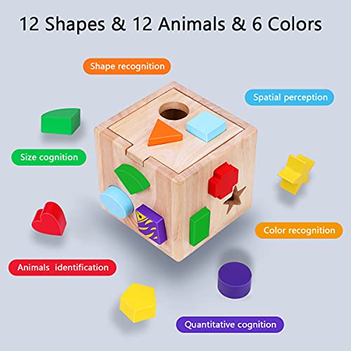 Japace Cubo Actividades Bebe, Juguetes de Madera Montessori con 12 Bloques de Forma Geométrica Rompecabezas Cubos Aprendizaje Temprano Juego Educativo Regalos para Niños Niñas 1 2 3 Años
