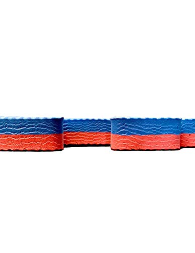 Jardin202 - Tatami Puzzle 1000x1000 | Esterilla Reversible Antideslizante | Suelo para gimnasios, Artes Marciales, Judo | con Bordes | Espesor: 20mm (Rojo y Azul)