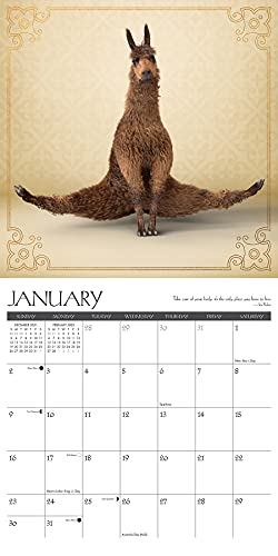 Llama Yoga 2022 Wall Calendar