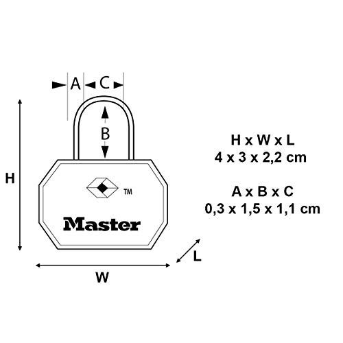 Master Lock 4681EURTBLK Envase da 2 Candados para Equipaje Aprobado por la TSA con Llaves, Negro, 4 x 3 x 2,2 cm