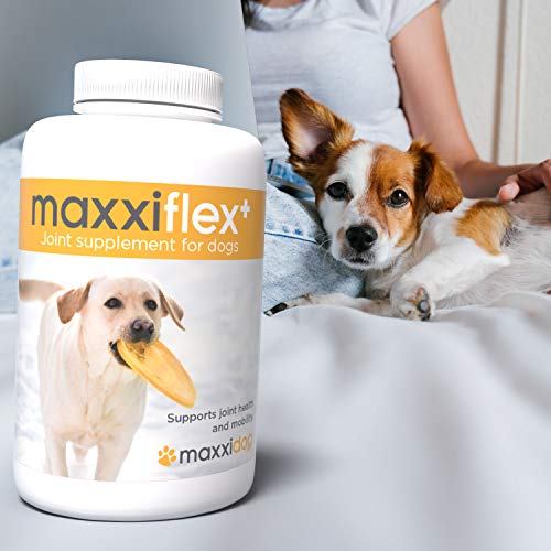 maxxidog - maxxiflex+ Suplemento avanzado para las articulaciones del perro - Glucosamina, condroitina, MSM, ácido hialurónico, garra del diablo, bromelina, cúrcuma - 120 sabrosas tabletas