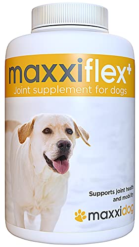 maxxidog - maxxiflex+ Suplemento avanzado para las articulaciones del perro - Glucosamina, condroitina, MSM, ácido hialurónico, garra del diablo, bromelina, cúrcuma - 120 sabrosas tabletas