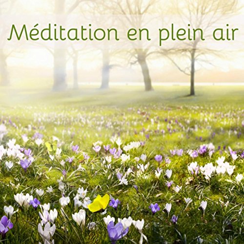 Méditation en plein air – Yoga, méditation et salutation au soleil avec la nature, bruit de tonnerre, pluie, chant d'oiseaux et vagues et vent
