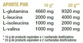 MEGA PLUS BCAA + GLUTAMINA CONCEPT - Complemento alimenticio a base de Aminoácidos y glutamina - 500G, Limón