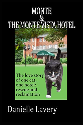 Monte and the monte vista hotel