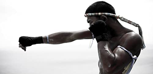 Muay Thai's Fighter