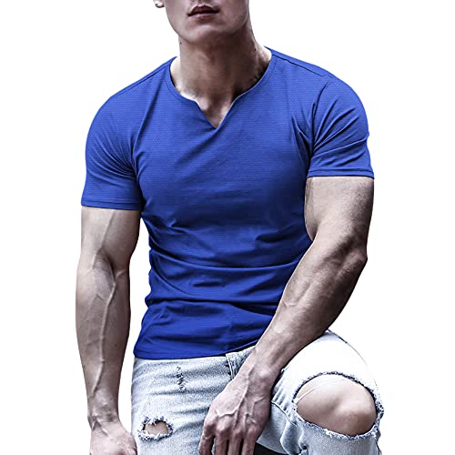 Muscle Alive Hombre Camisetas atléticas de Culturismo para de Secado rápido para músculos Gimnasio Entrenamiento Tops Azul L