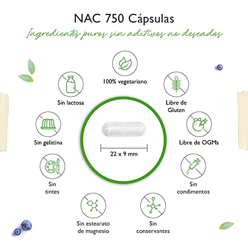 NAC - N-Acetil L-Cisteína 180 cápsulas con 750 mg cada una - Suministro para 6 meses - Vegano - Altamente dosificado - Sin aditivos no deseados