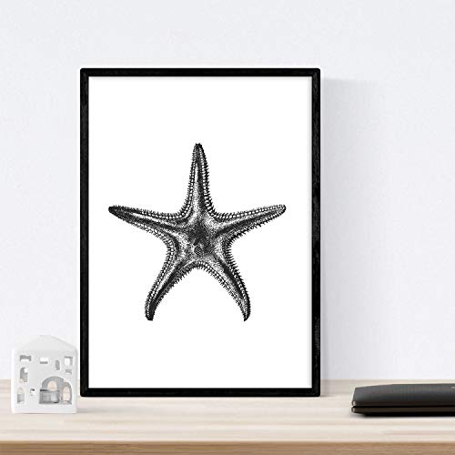 Nacnic Lámina de Estrella de mar. Posters con animales en blanco y negro. Tamaño A4 con marco