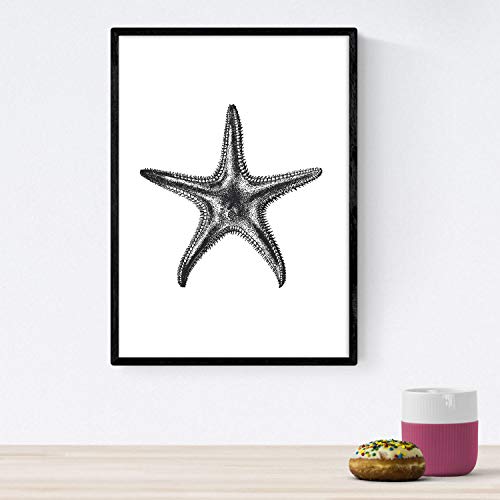 Nacnic Lámina de Estrella de mar. Posters con animales en blanco y negro. Tamaño A4 con marco