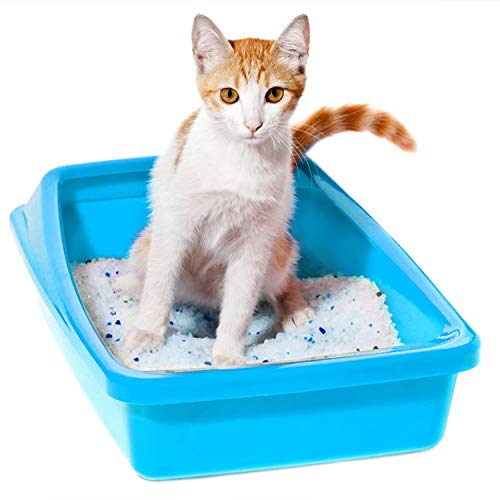 Nobleza - Arena para Gatos de sílice Camada para Gatitos de Gel de Diamante 3.8L Absorbente, Cómodo Biodegradable