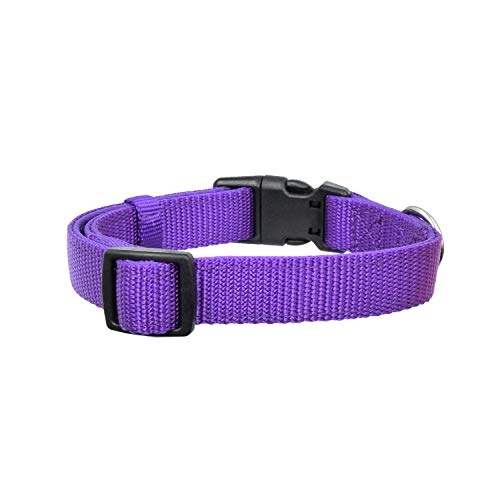 Olahibi Collar básico de neopreno suave y cómodo acolchado de nailon, patrón de color sólido para caminar entrenamiento perros (S, collar morado)
