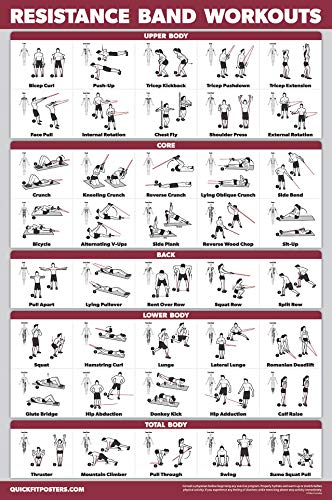 Palace Learning - Juego de 3 póster de ejercicio con mancuernas + ejercicios de pesas rusas + bandas de resistencia, 18" x 27", Laminado.