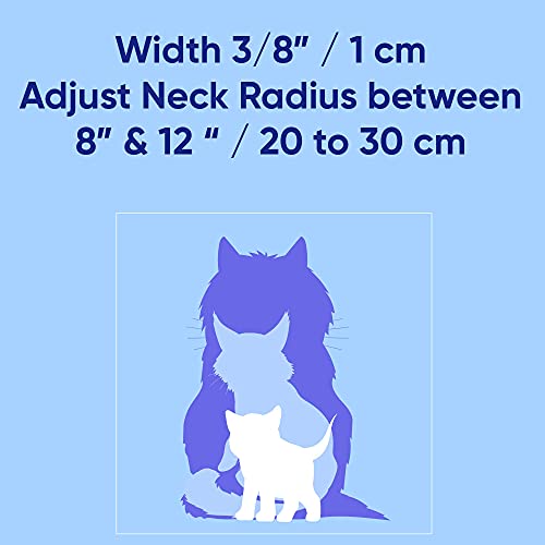 Pawtitas Collar de Gato Brilla en la Oscuridad con Hebilla de Seguridad y Cuello de Gato Campana Desmontable Collar de Gatito Naranja Collar de Gato
