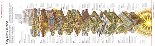 Stephen Biesty's More Incredible Cross-sections