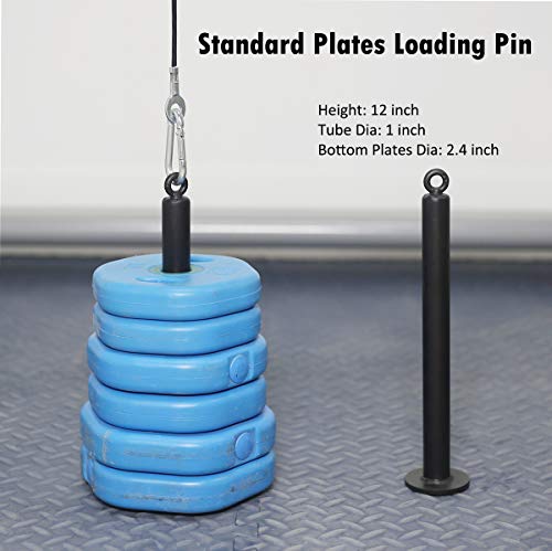 SYL Fitness Pasador de carga de placas de peso 1 pulgada para sistema de polea de gimnasio en casa DIY