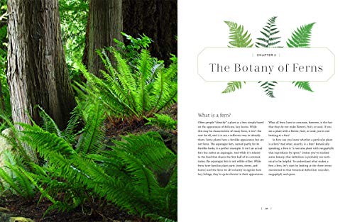 The Complete Book of Ferns: Indoors • Outdoors • Growing • Crafting • History & Lore