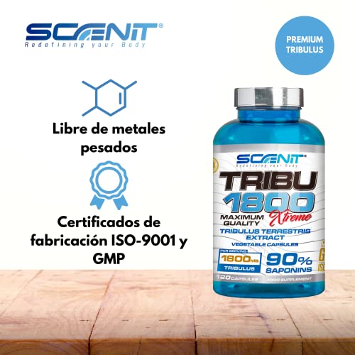 TRIBU 1800 | 1800 mg de Tribulus Terrestris por dosis diaria con 90% Saponinas | Precursor de Testosterona | 120 cápsulas vegetales